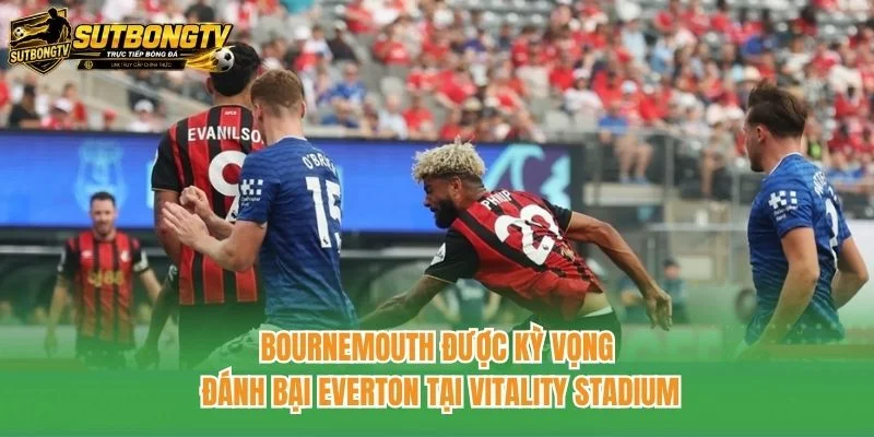 Bournemouth được kỳ vọng đánh bại Everton tại Vitality Stadium Bournemouth được kỳ vọng đánh bại Everton tại Vitality Stadium