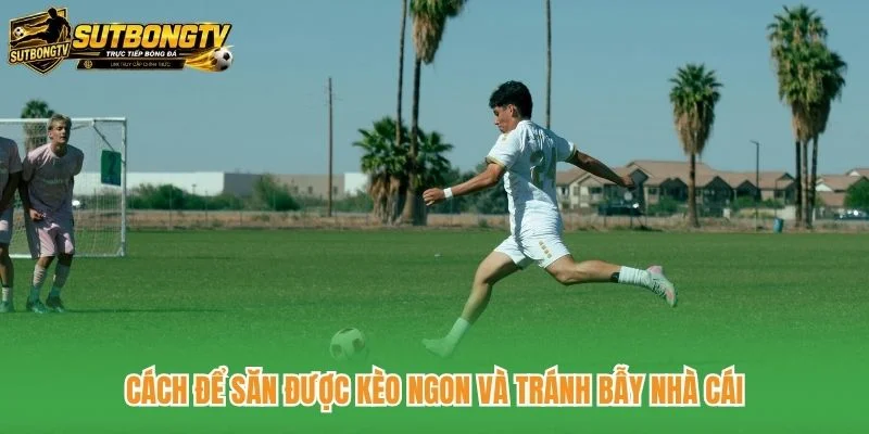 Cách để săn được kèo ngon và tránh bẫy nhà cái