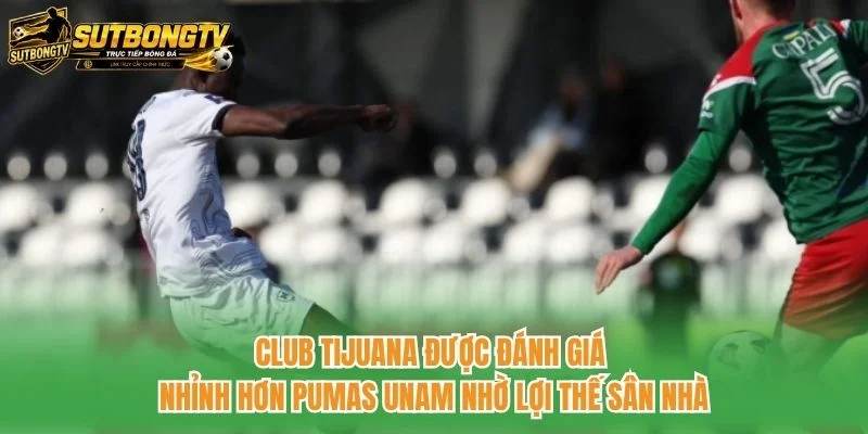 Club Tijuana được đánh giá nhỉnh hơn Pumas UNAM nhờ lợi thế sân nhà Club Tijuana được đánh giá nhỉnh hơn Pumas UNAM nhờ lợi thế sân nhà