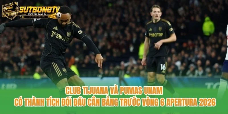 Club Tijuana và Pumas UNAM có thành tích đối đầu cân bằng trước vòng 6 Apertura 2026 Club Tijuana và Pumas UNAM có thành tích đối đầu cân bằng trước vòng 6 Apertura 2026