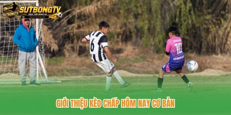 Giới thiệu kèo chấp hôm nay cơ bản Giới thiệu kèo chấp hôm nay cơ bản