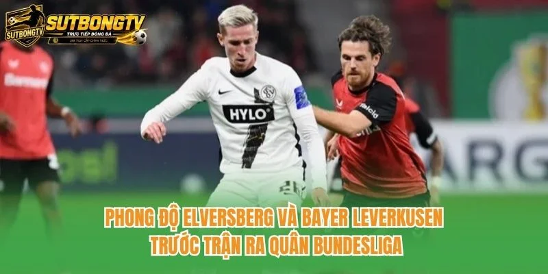 Phong độ Elversberg và Bayer Leverkusen trước trận ra quân Bundesliga Phong độ Elversberg và Bayer Leverkusen trước trận ra quân Bundesliga
