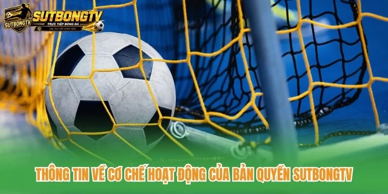Thông tin về cơ chế hoạt động của bản quyền SutbongTV