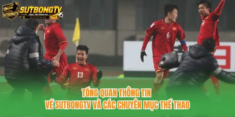 Tổng quan thông tin về SutbongTV và các chuyên mục thể thao