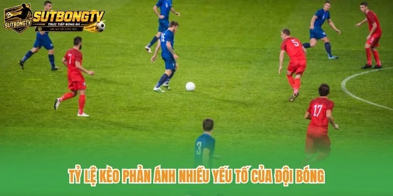 Tỷ lệ kèo phản ánh nhiều yếu tố của đội bóng